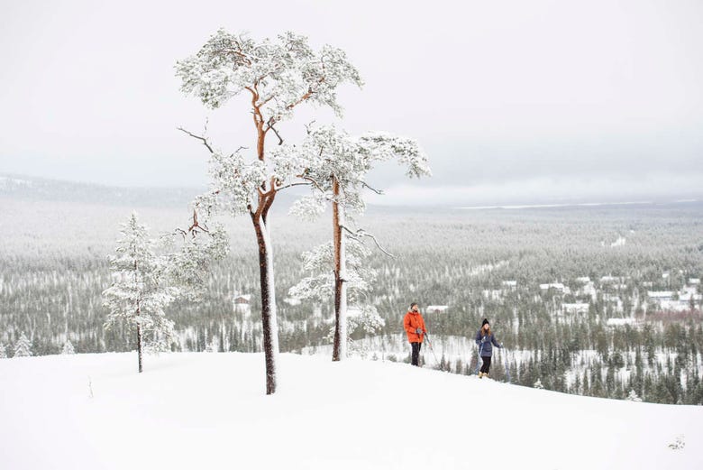 Pratiquer le ski de fond dans le parc national de Pyhä-Luosto