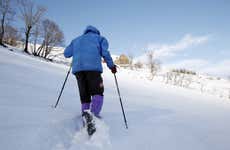 Passeio com raquetes de neve pelo Parque Nacional Pyhä-Luosto
