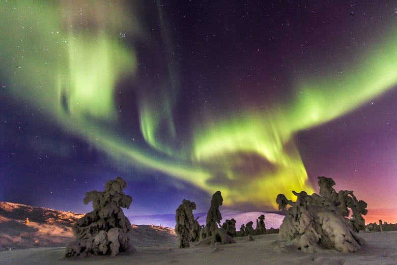 I boschi di Rovaniemi e l'aurora boreale