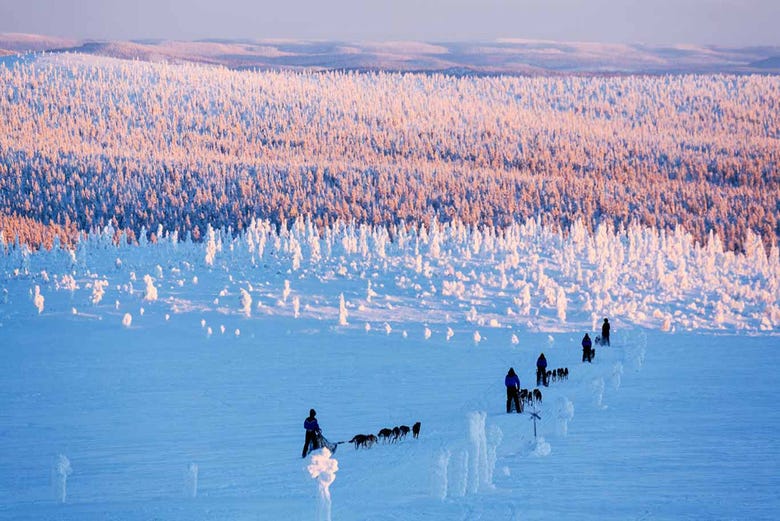 Contempler les paysages enneigés de la Laponie