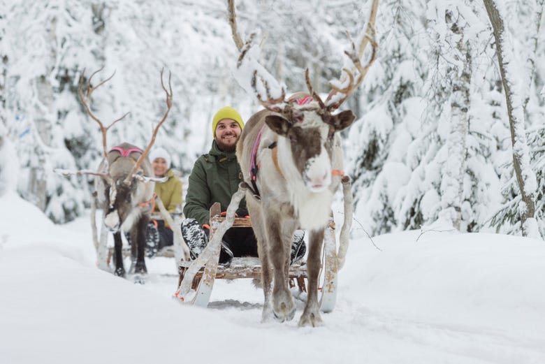 Enjoying a reindeer sleigh ride