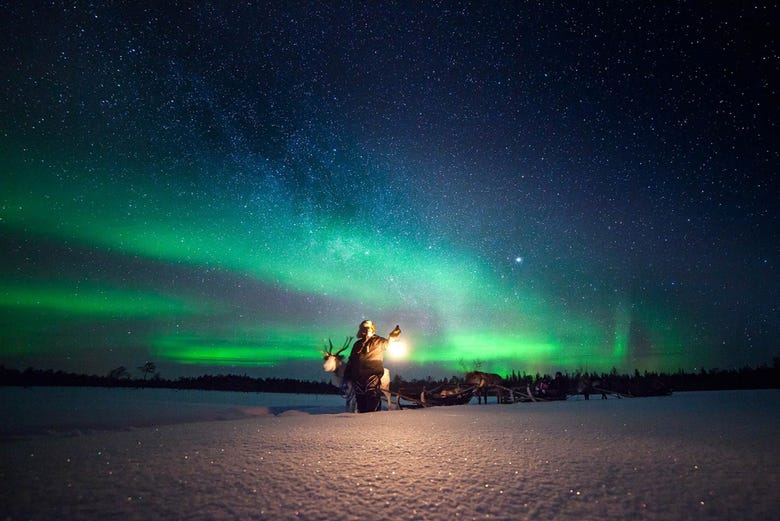 Reindeer sleigh ride under the Northern Lights