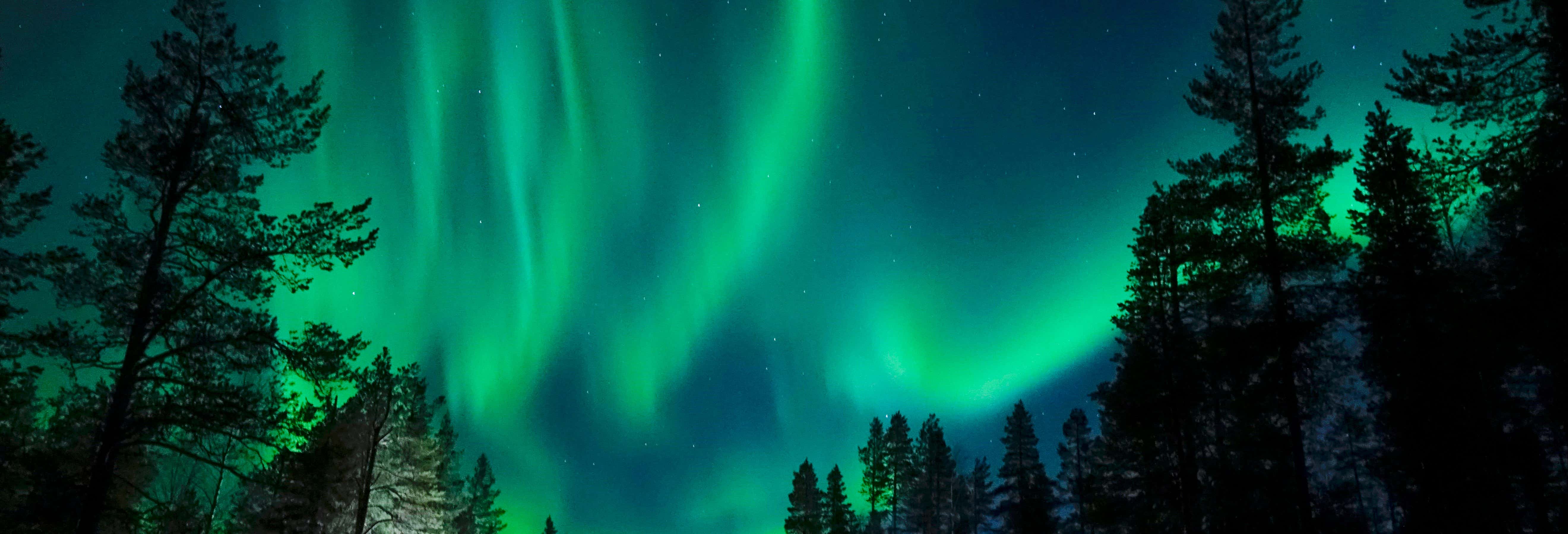 Paseo en trineo de perros husky bajo la aurora boreal