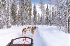 Balade en traîneau tiré par des chiens huskies