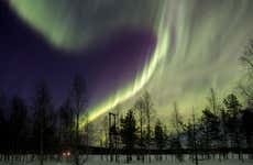 Northern Lights Tour + Finnish Sauna
