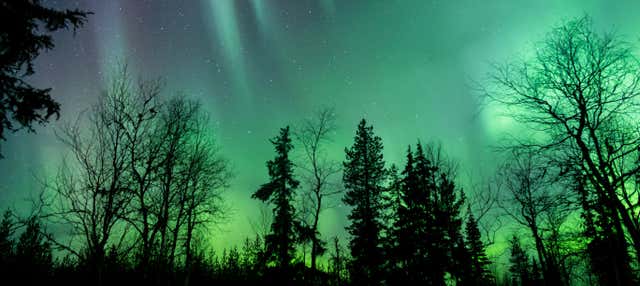 Tour da aurora boreal VIP