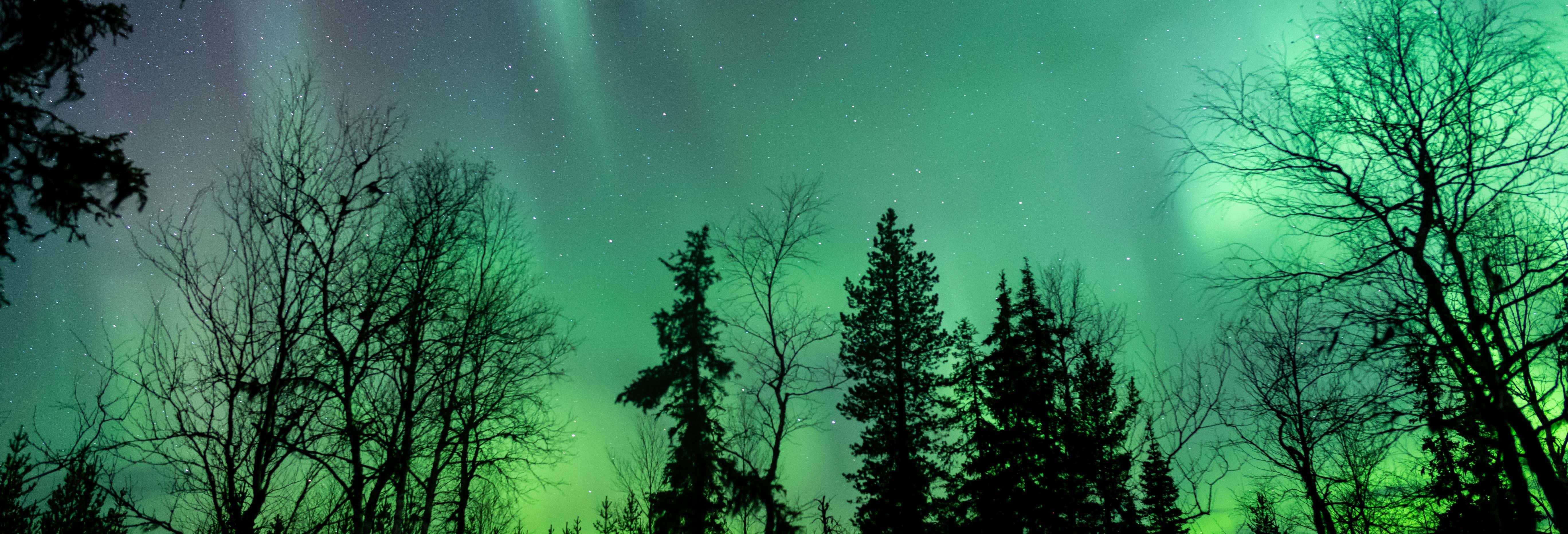 Tour da aurora boreal VIP