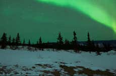 Tour fotográfico da aurora boreal com churrasco