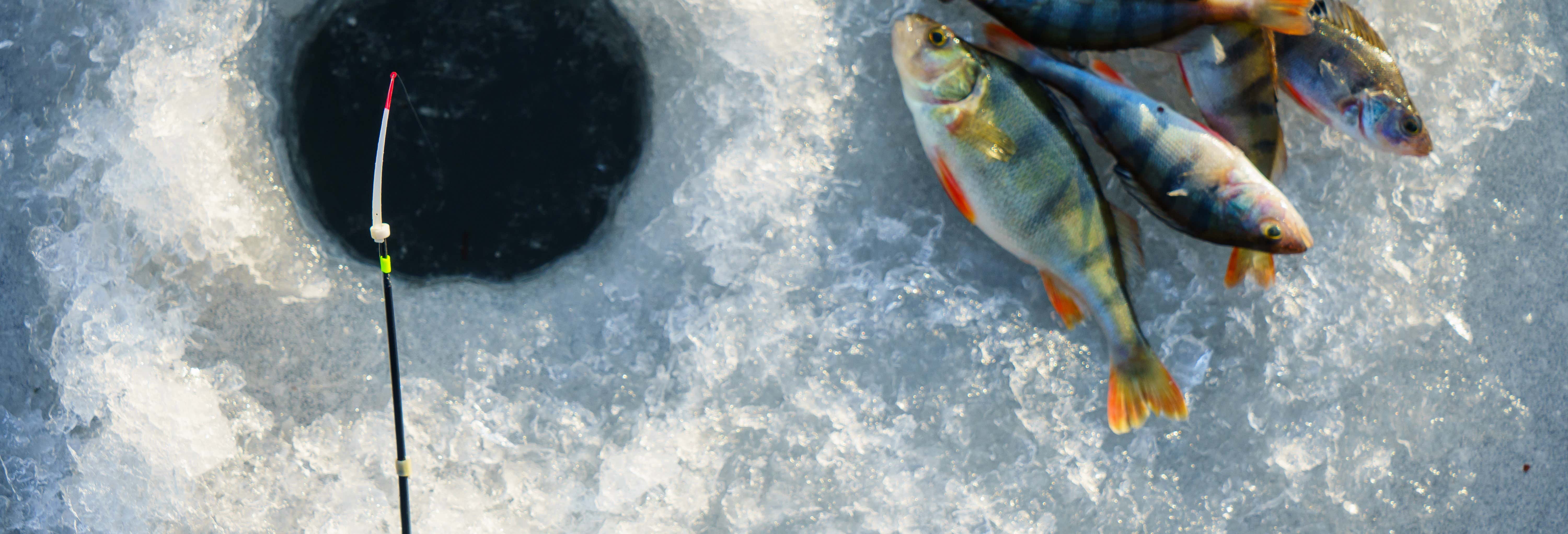 Pesca en el hielo en Sirkka