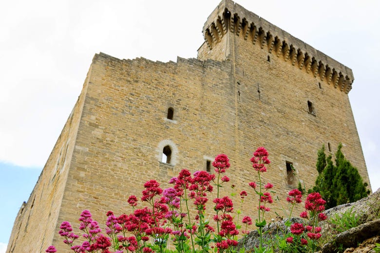 Castillo de Châteauneuf du Pape 