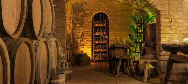 Ingresso das grutas Duhard + Degustação de vinhos