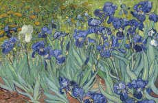 Tour di Van Gogh in Provenza