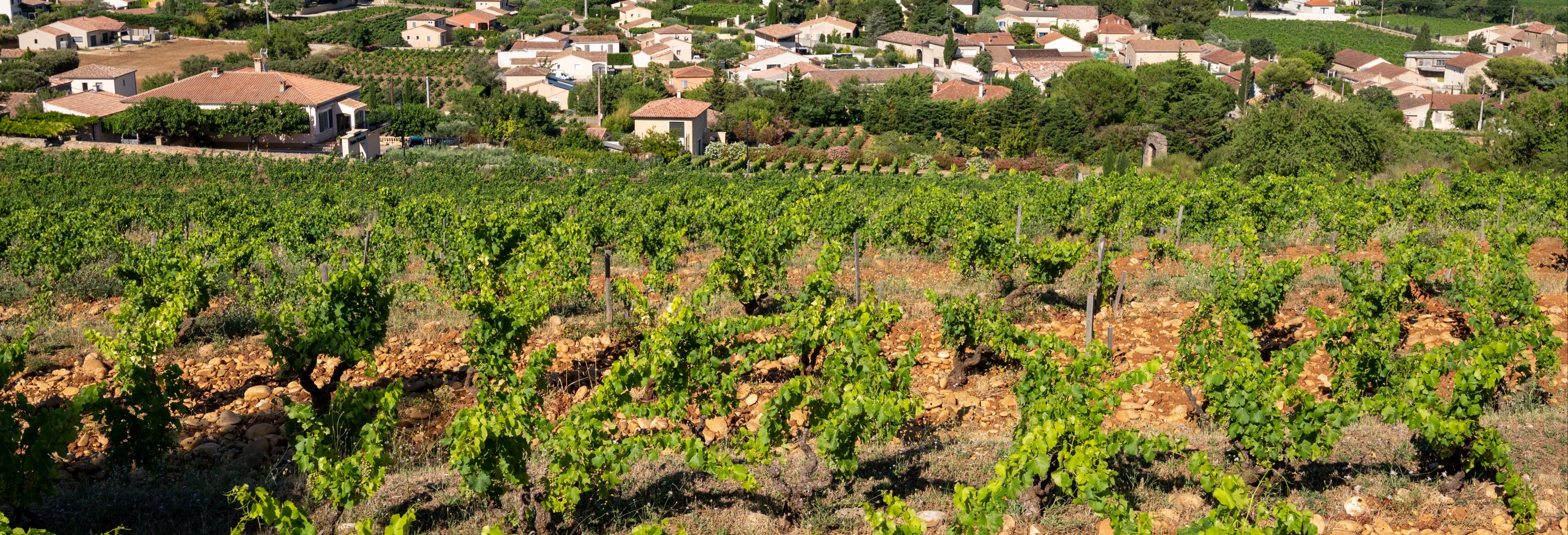 Escursione ad Orange e Châteauneuf du Pape
