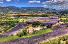 Tour da lavanda por Luberon