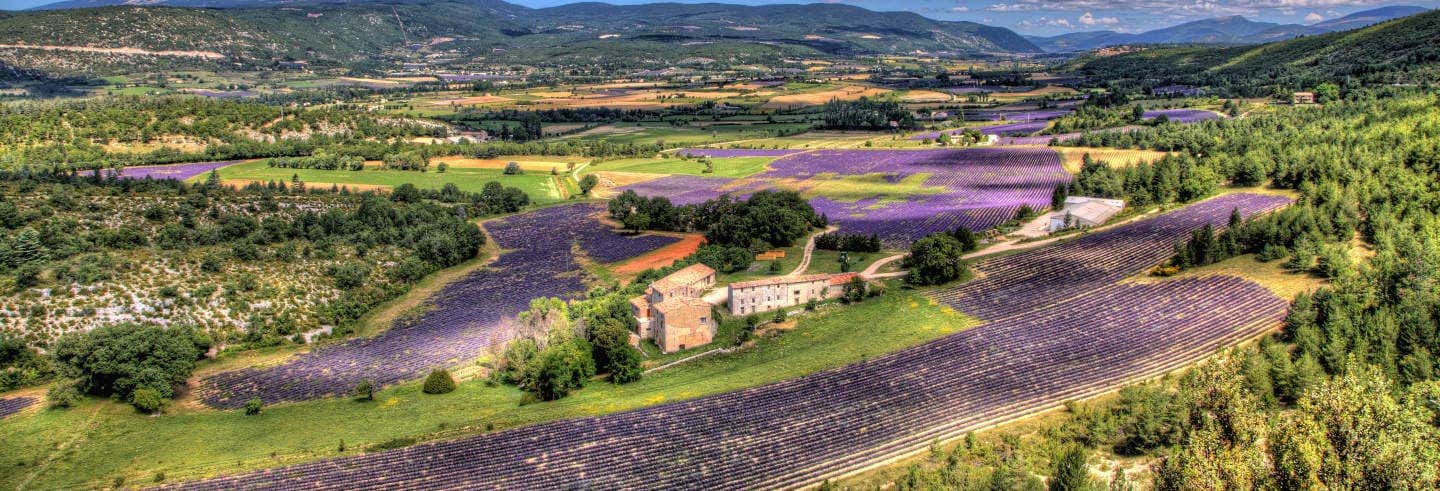 Tour de la lavanda por Luberon