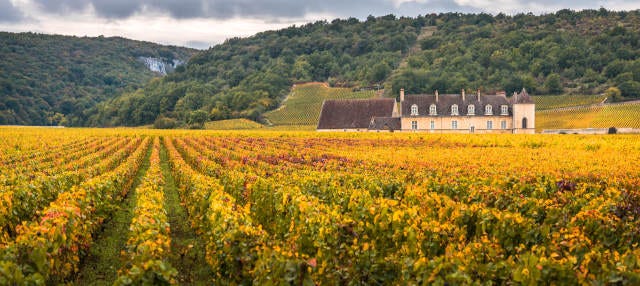 Tour del vino de Borgoña
