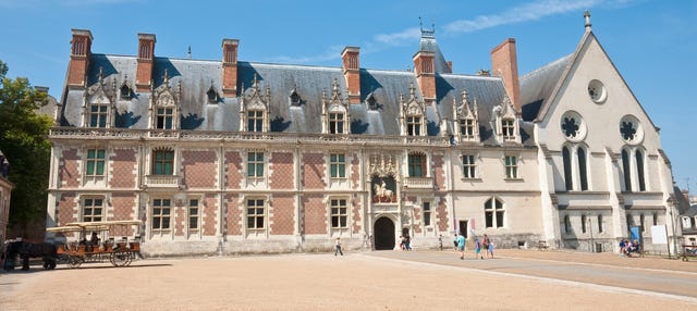Entrada al castillo de Blois sin colas