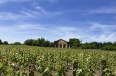 Tour de vinhedo e adegas por Saint-Émilion