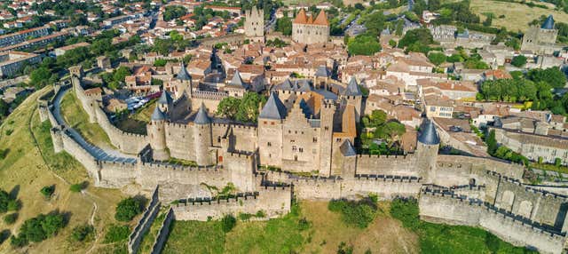Tour privado por Carcasona con guía en español