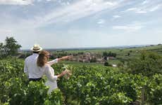 Visite autour du vin de Bourgogne dans Beaune