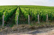 Tour dello champagne a Épernay, Hautvillers e Mareuil-sur-Ay