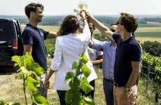 Tour por Épernay, Hautvillers y Mareuil + Bodegas Moët & Chandon