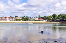 Visita guiada por Hossegor
