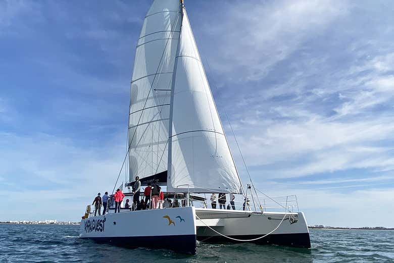 catamaran a la rochelle