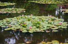 Claude Monet's House & Gardens in Giverny Tour