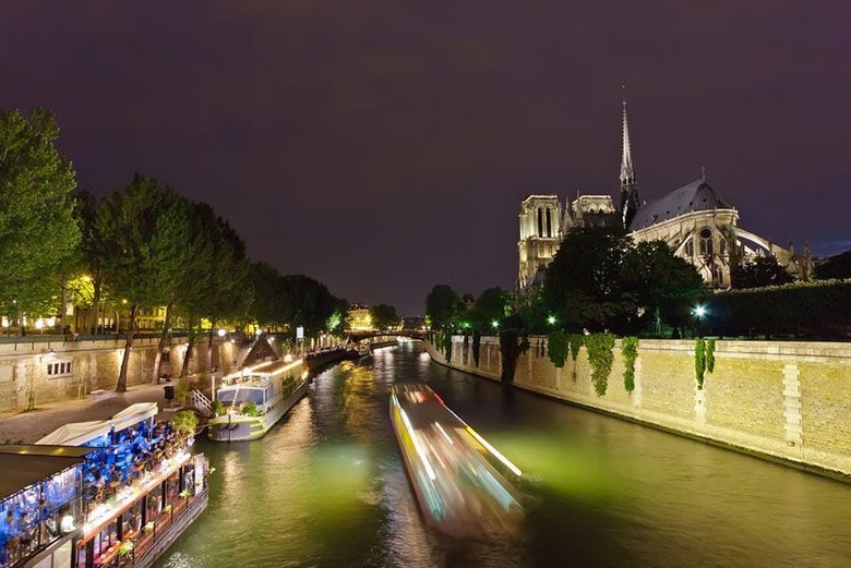 Croisière sur la Seine à la tombée de la nuit