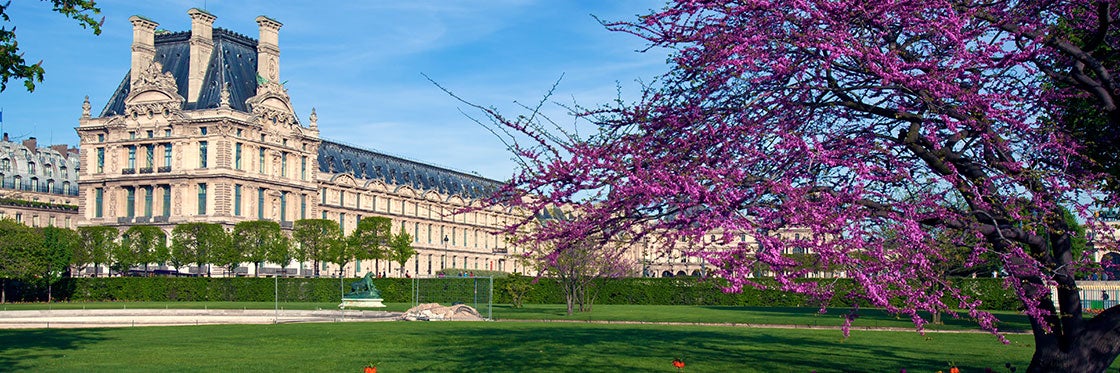 Il Giardino delle Tuileries