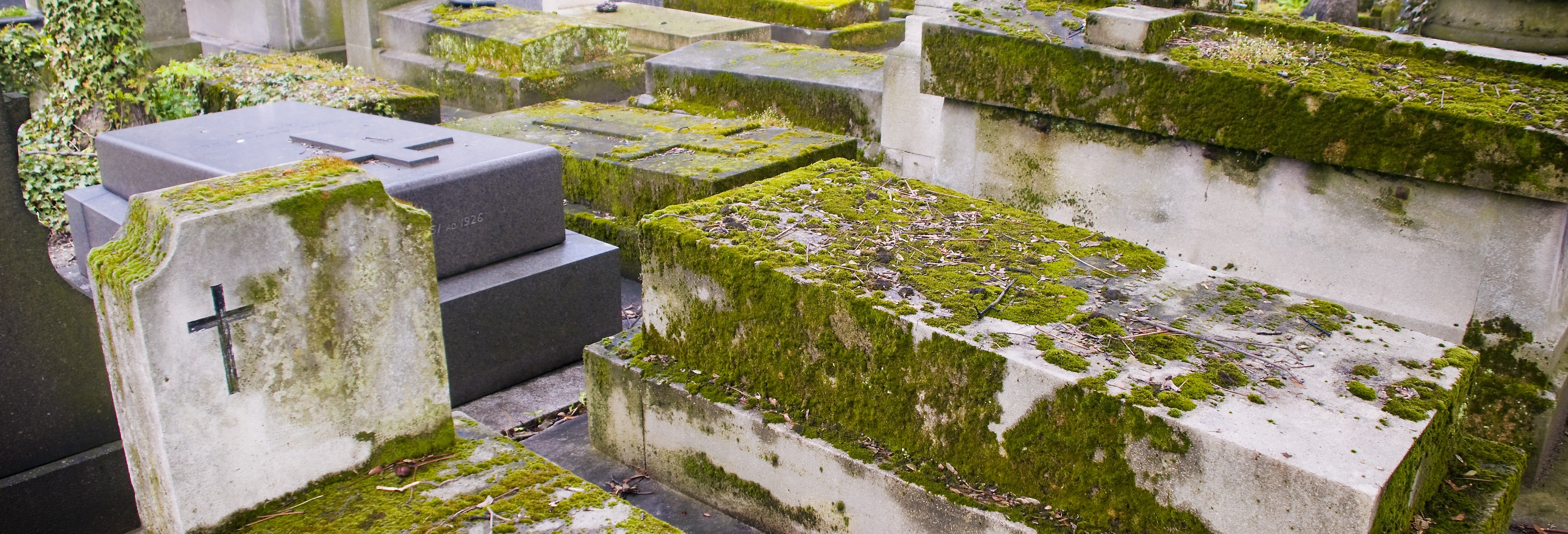 Visita guidata del cimitero di Père Lachaise