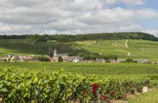 Excursión a las bodegas Moët & Chandon y Taittinger