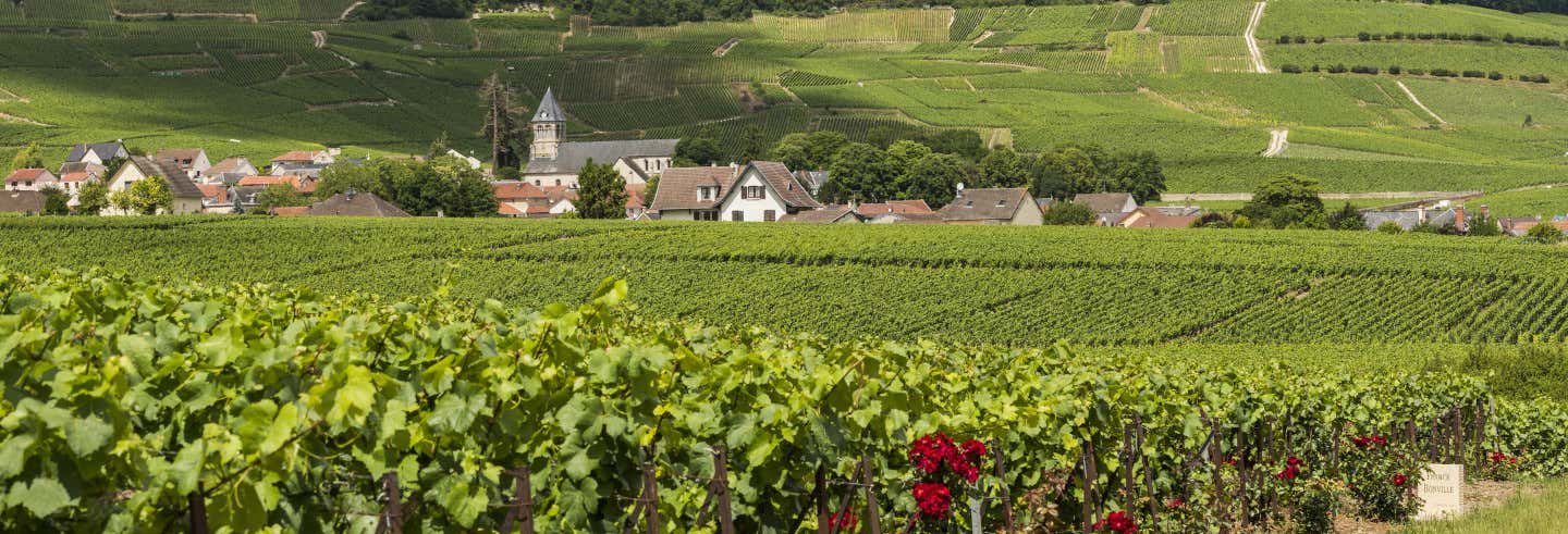 Excursión a las bodegas Moët & Chandon y Taittinger