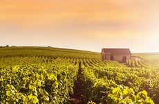 Tour por Reims y la bodega Vranken Pommery