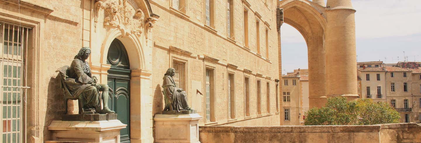 Excursión a Montpellier para cruceros