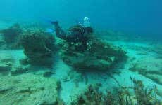 Immersione alla spiaggia Koutalas