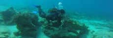 Buceo en la playa Koutalas