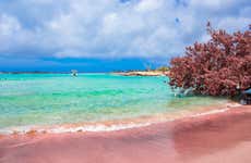 Excursión a la playa Elafonisi