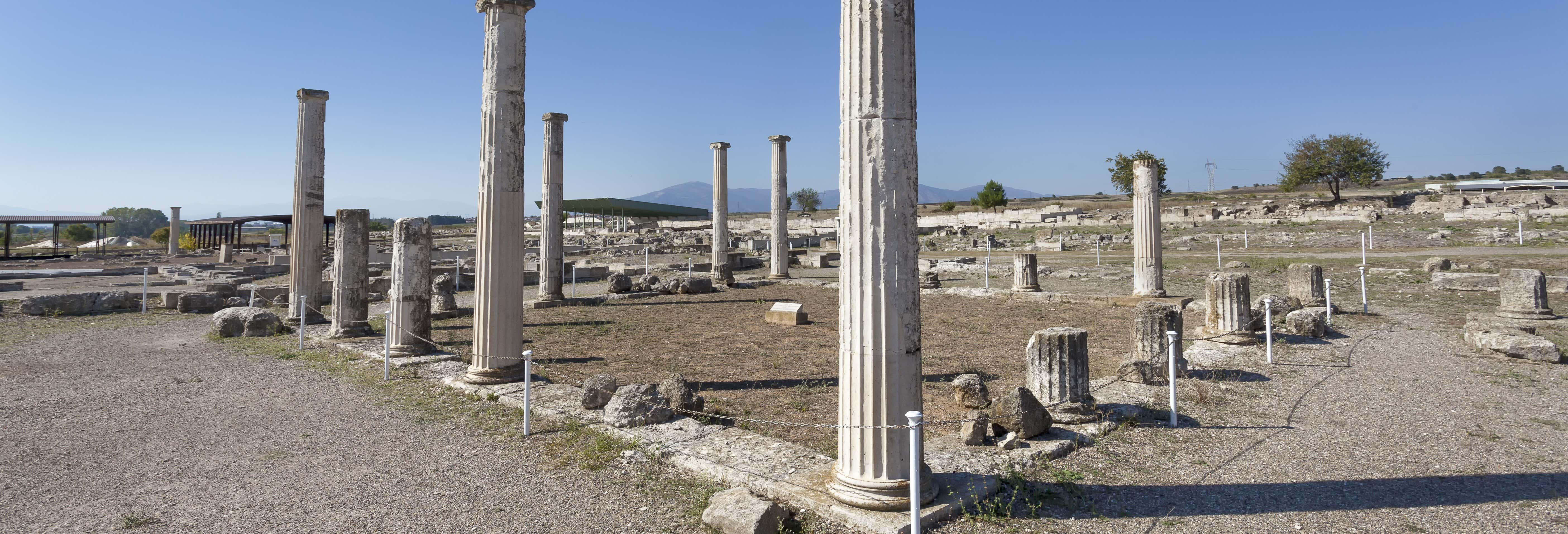 Escursione a Pella e Vergina