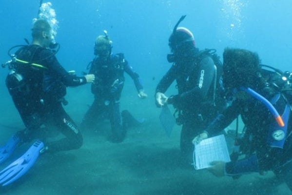 Durante l'immersione