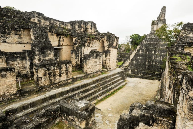 Ruines mayas Tikal