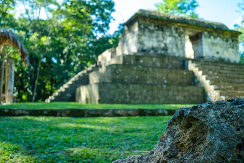 Ceibal Compus Excursão a El Ceibal saindo de Flores - Reserve em Civitatis.com