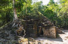 El Mirador & El Tintal: 5 Day Tour Package