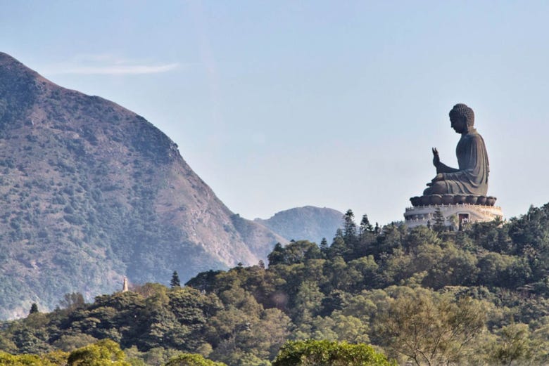 Visit the giant Buddha statue