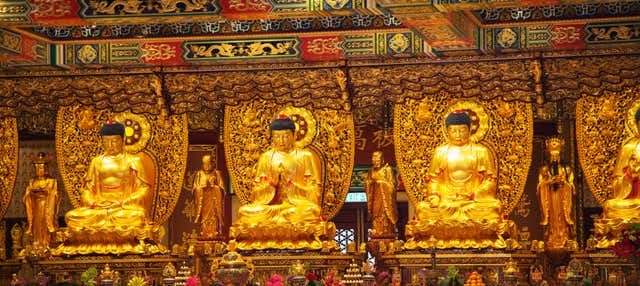 Tour privado pela ilha de Lantau com guia em português