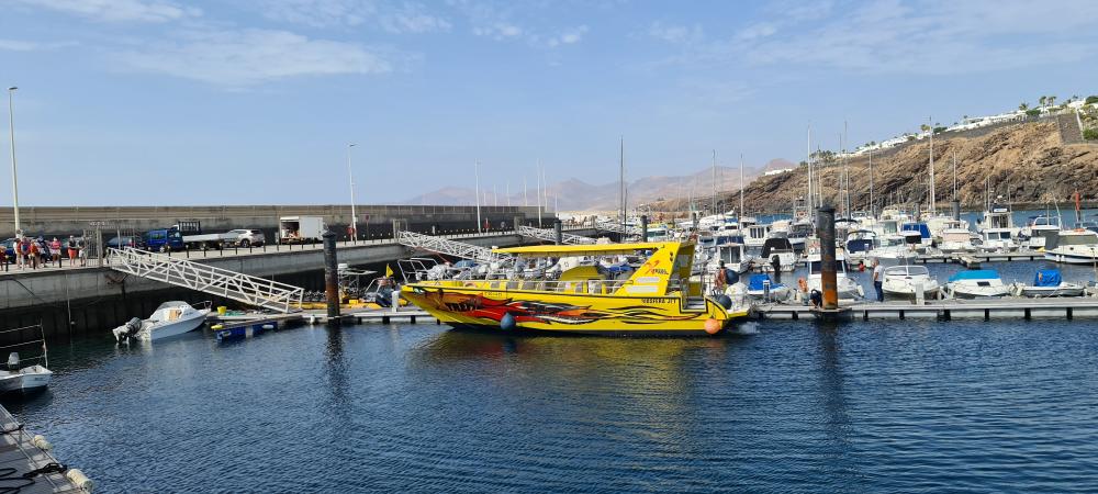 Avistamiento de delfines + Snorkel desde Puerto del Carmen desde Lanzarote