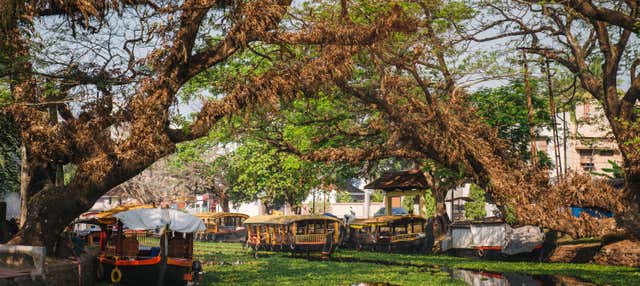 Free tour por Alleppey ¡Gratis!