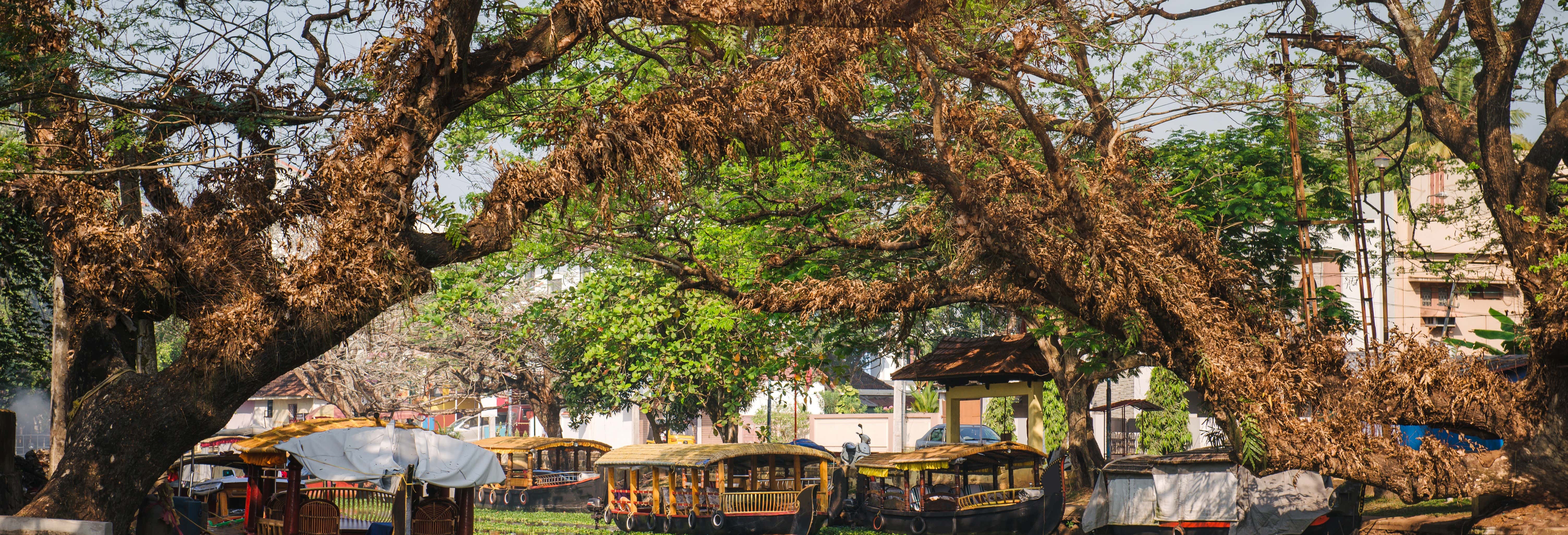 Free tour por Alleppey
