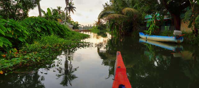 Tour pelos canais de Alleppey